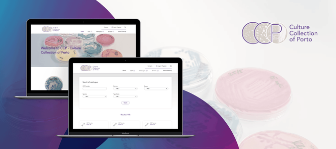 CCP website desenvolvido em Drupal pela JAVALI