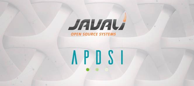 Imagem de uma rede/teia e logotipos da JAVALI e APDSI por cima