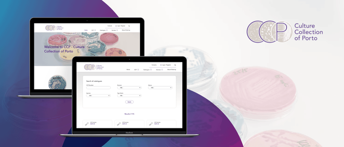 CCP website desenvolvido em Drupal pela JAVALI