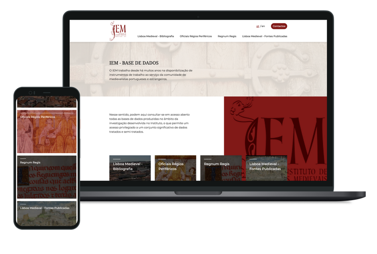 imagem representativa da plataforma de bases de dados do IEM