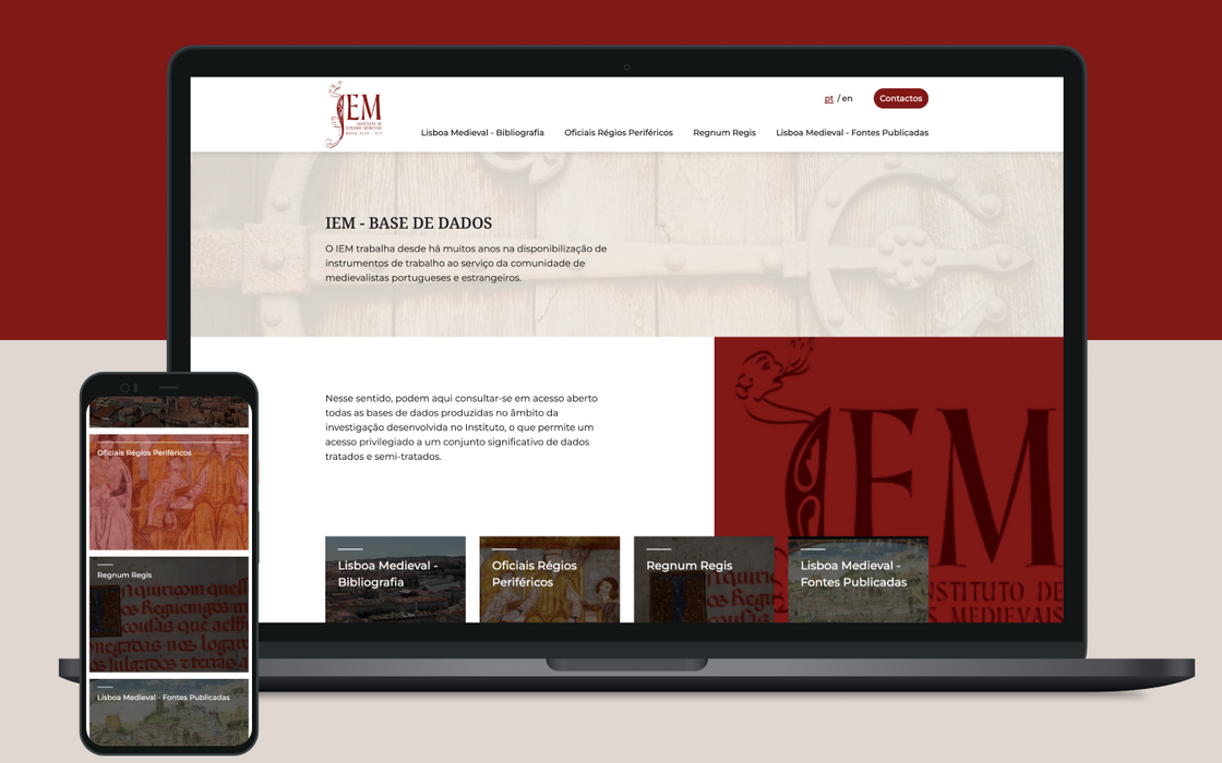 imagem representativa da plataforma de bases de dados do IEM-FCSH